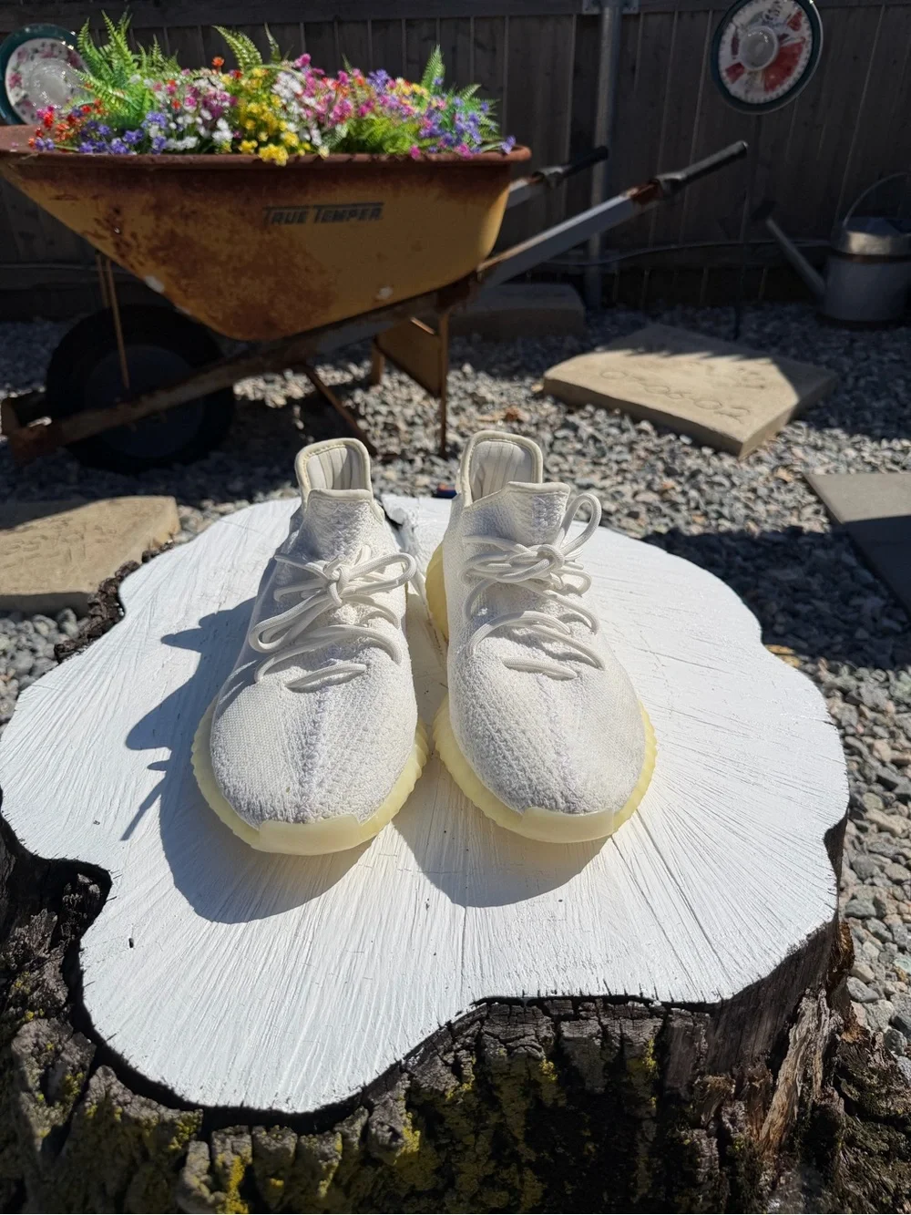 Adidas Yeezy 350 cream